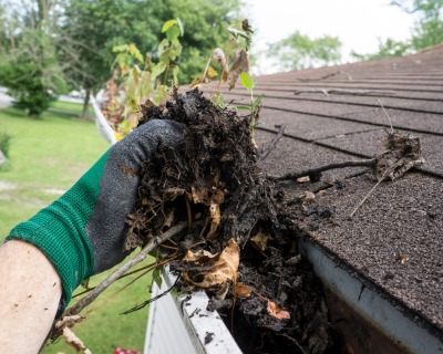 gutter cleaning